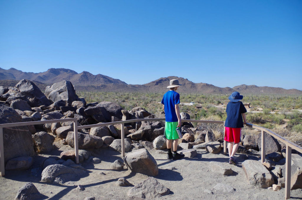 Saguaro National Park