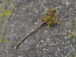 Stick and moss arrow