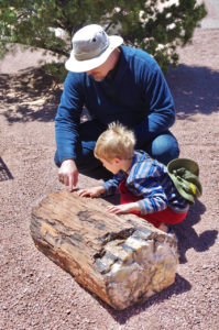 Petrified Log