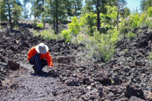 Lava Field