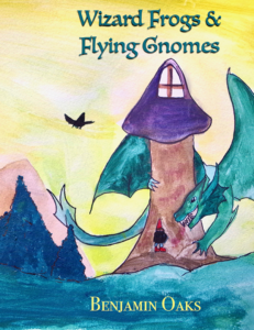 wizards-frogs-and-flying-gnomes-book